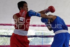 TORNEO DE BARRIOS . BOX