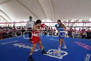 TORNEO DE BARRIOS . BOX