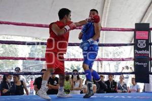 TORNEO DE BARRIOS . BOX