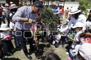 SAN ANDRÉS CHOLULA . REFORESTACIÓN