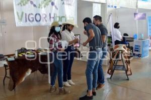 ATLIXCO . FERIA DE LA EDUCACIÓN