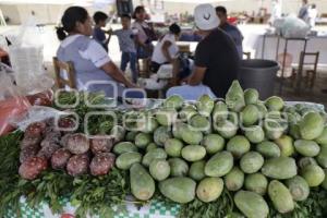 FERIA DEL NOPAL