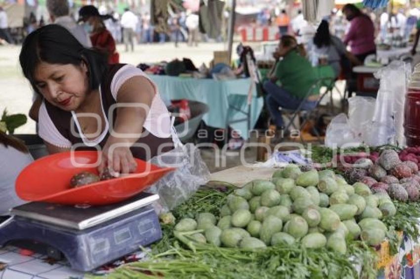 FERIA DEL NOPAL