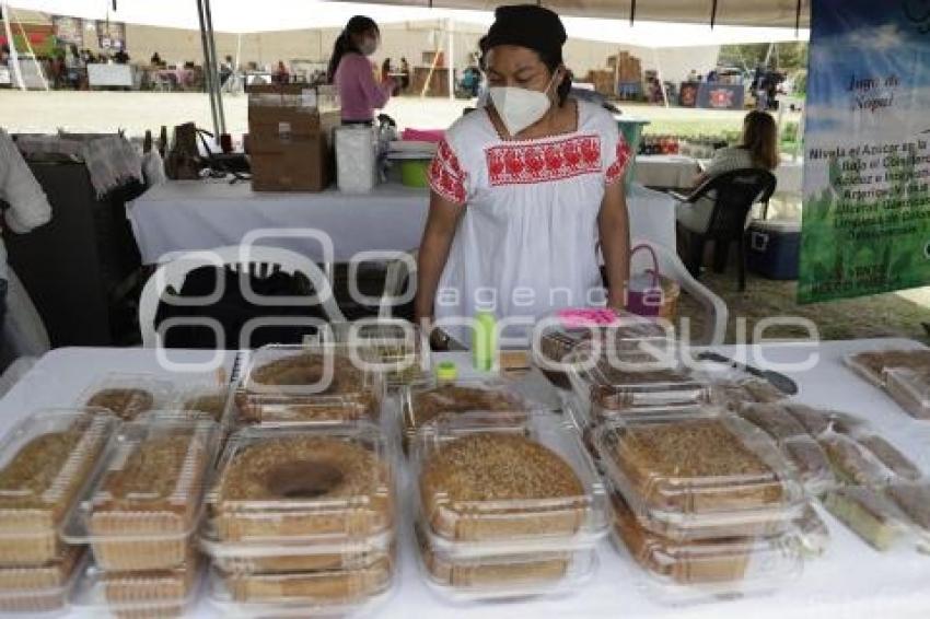 FERIA DEL NOPAL