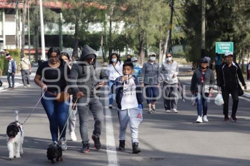 ZONA MILITAR . PASEO DOMINICAL
