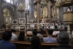 CATEDRAL . MISA