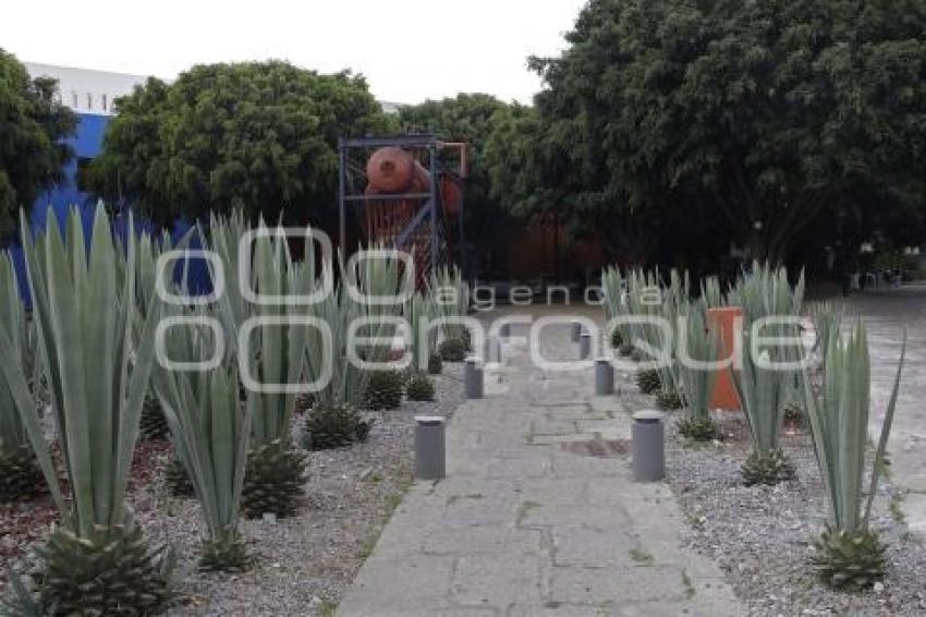 PARQUE DE LA MUJER