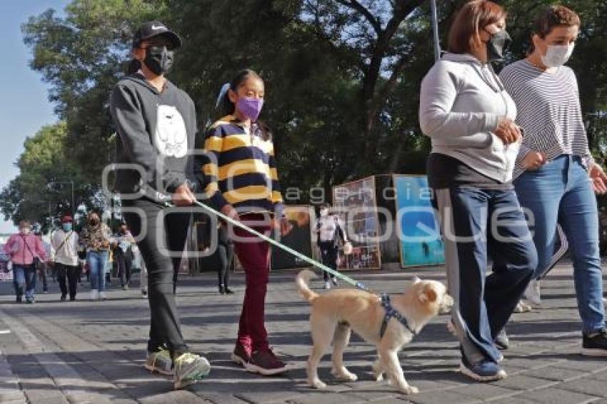 TLAXCALA . CAMINATA MASCOTAS