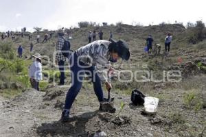 BUAP . REFORESTACIÓN