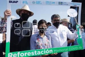 BUAP . REFORESTACIÓN