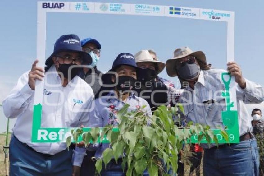 BUAP . REFORESTACIÓN
