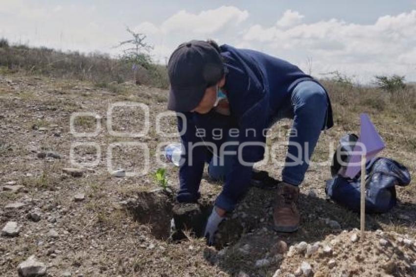 BUAP . REFORESTACIÓN