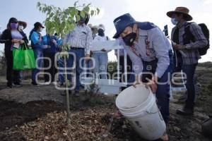 BUAP . REFORESTACIÓN