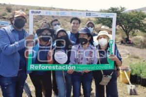 BUAP . REFORESTACIÓN