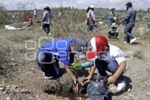 BUAP . REFORESTACIÓN