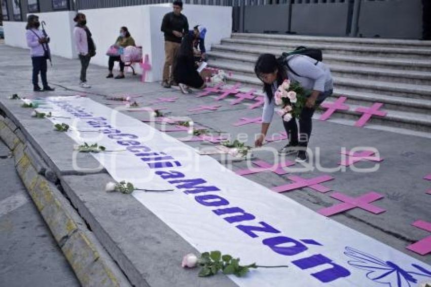 PROTESTA . CECILIA MONZÓN