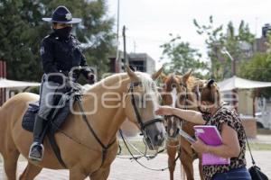 SAN ANDRÉS CHOLULA . SEGURIDAD