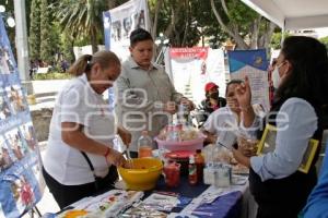 FERIA ASOCIACIONES CIVILES