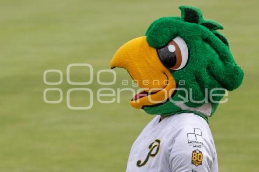 BÉISBOL . PERICOS VS ALGODONEROS