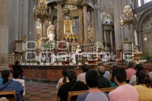CATEDRAL . MISA