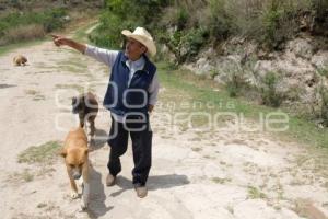 TLAXCALA . TLACHIQUERO