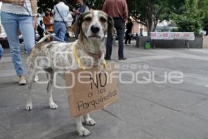 PROTESTA PARQUÍMETROS