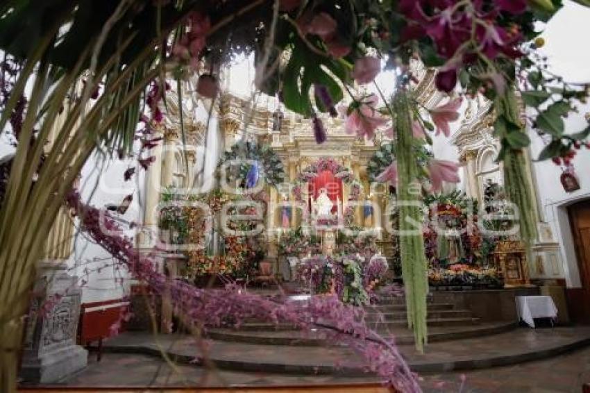 SAN PEDRO CHOLULA . FIESTA FLORICULTORES