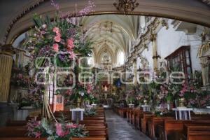 SAN PEDRO CHOLULA . FIESTA FLORICULTORES