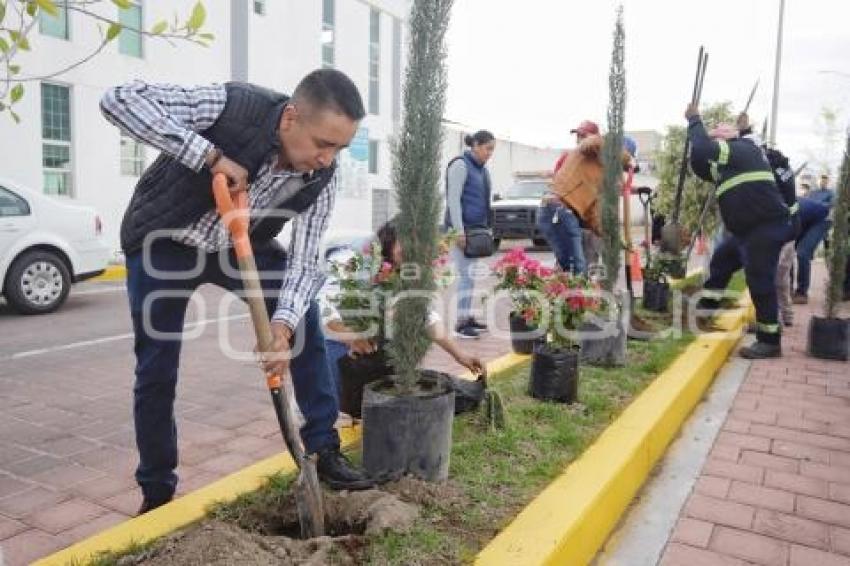 SAN ANDRÉS CHOLULA, REFORESTACIÓN