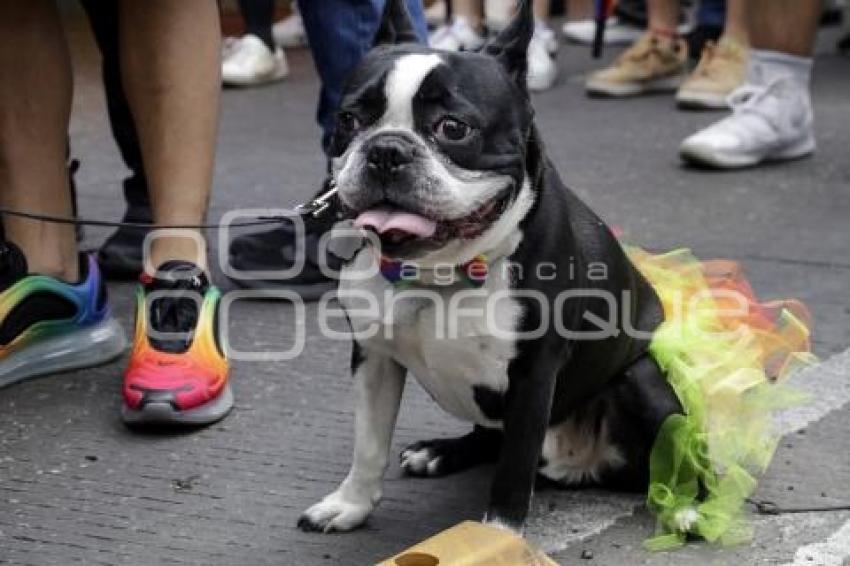 MARCHA ORGULLO LGBTTTI