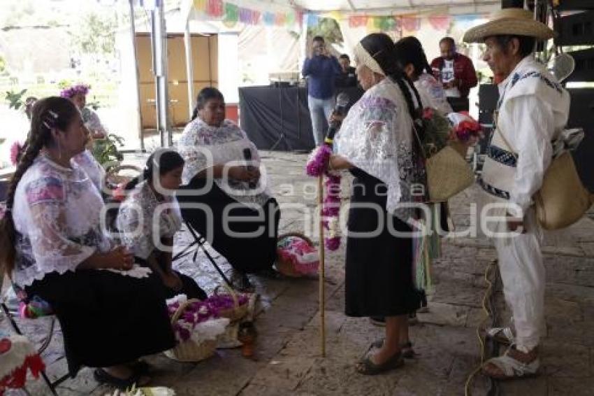 ZACATLÁN . FESTIVAL MULTICULTURAL 