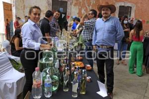 CHOLULA . MEZCAL FEST