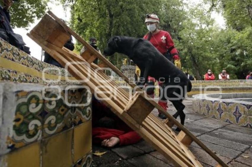 CRUZ ROJA . DEMOSTRACIÓN SOCORRISTAS