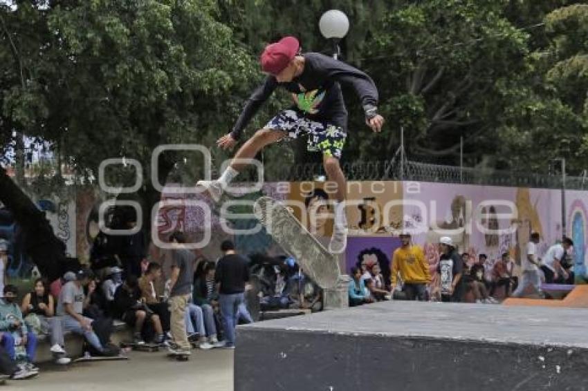 DÍA MUNDIAL DEL SKATE