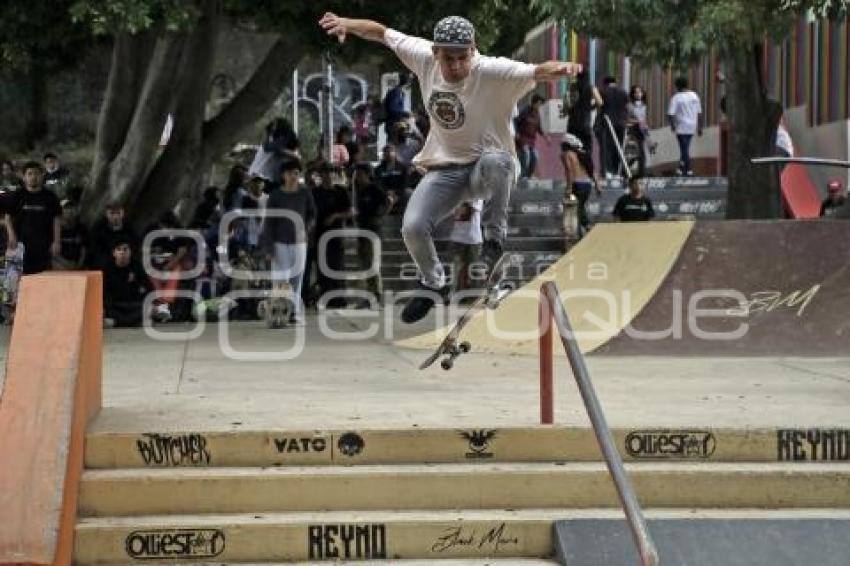 DÍA MUNDIAL DEL SKATE