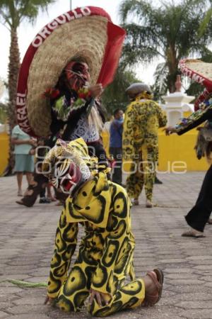 ACATLÁN . TECUANES