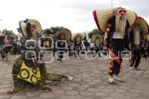 ACATLÁN . TECUANES