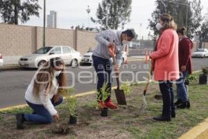 SAN ANDRÉS CHOLULA . REFORESTACIÓN