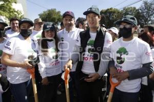 REFORESTACIÓN . AIRE JOVEN