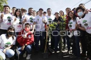 REFORESTACIÓN . AIRE JOVEN