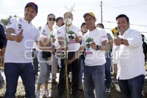 REFORESTACIÓN . AIRE JOVEN