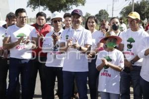 REFORESTACIÓN . AIRE JOVEN