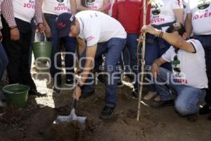 REFORESTACIÓN . AIRE JOVEN