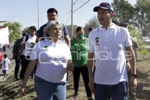 REFORESTACIÓN . AIRE JOVEN