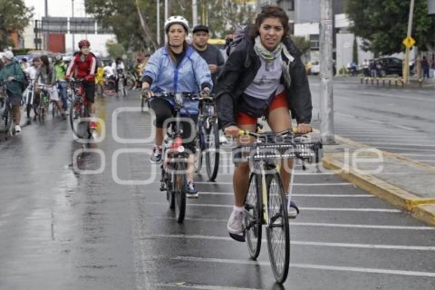 RODADA . MASA CRÍTICA