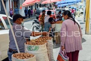 ATLIXCO . NUEZ DE CASTILLA