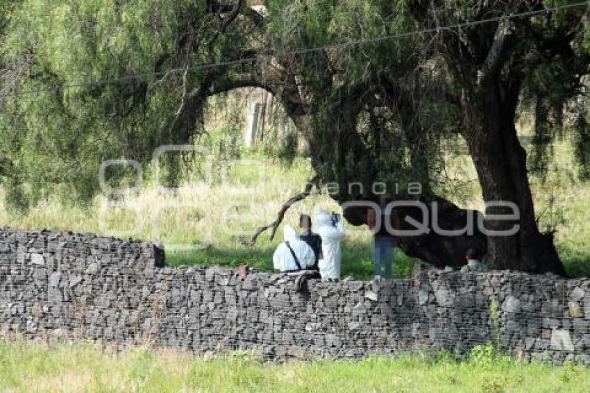 NOTA ROJA . SUICIDIO