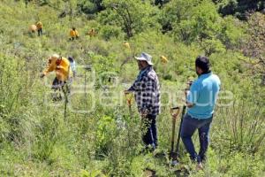 ATLIXCO . JORNADA DE REFORESTACIÓN