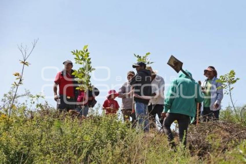 ATLIXCO . JORNADA DE REFORESTACIÓN