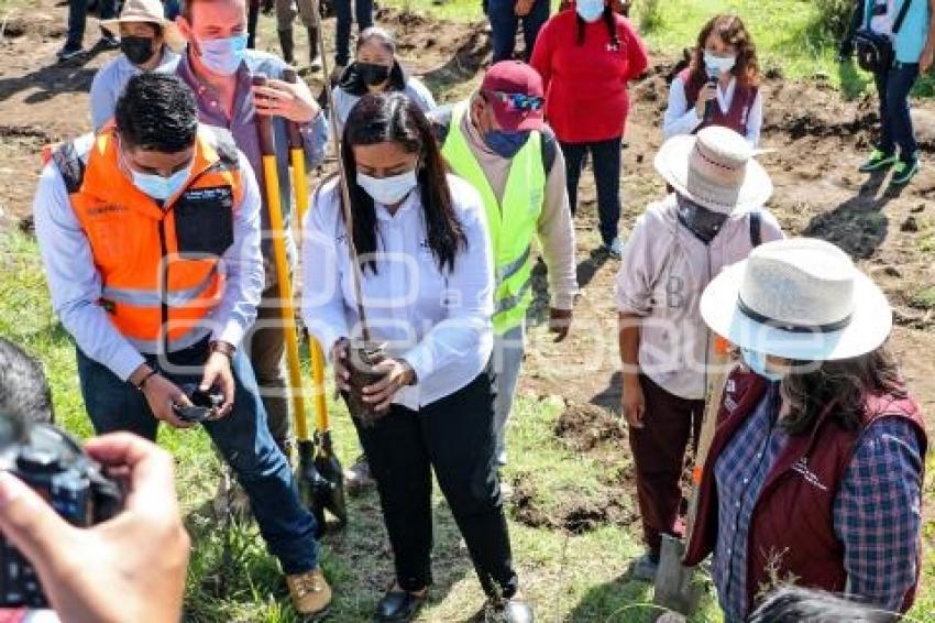 ATLIXCO . JORNADA DE REFORESTACIÓN